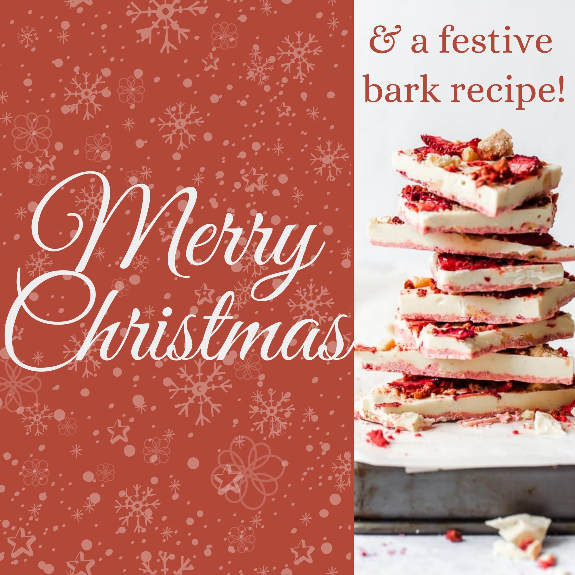 Merry Christmas + easy bark recipe!