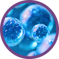 Hyaluronic Acid